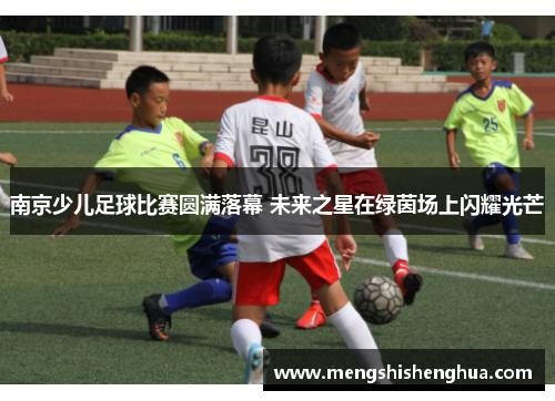 南京少儿足球比赛圆满落幕 未来之星在绿茵场上闪耀光芒