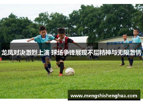龙凤对决激烈上演 球场争锋展现不屈精神与无限激情