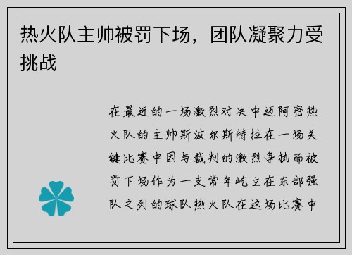 热火队主帅被罚下场，团队凝聚力受挑战